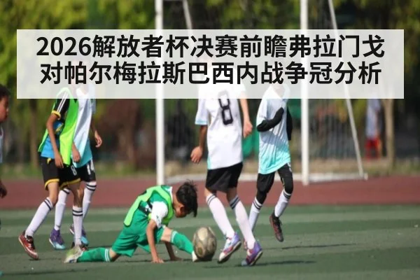2026解放者杯决赛前瞻弗拉门戈对帕尔梅拉斯巴西内战争冠分析